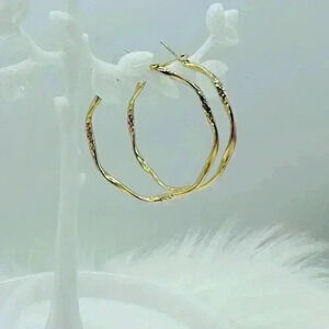 Women's Twisted Circle Design Hoop Earrings in Gold